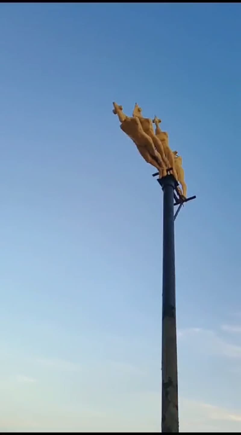 השום הישראלי הוא היחיד בעולם שמחליף את רוב התרופות — והוא מוכחד